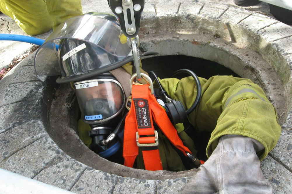 Free Downloadable Rescue Plan